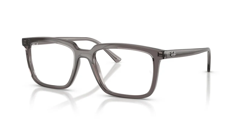 Ray-Ban RX7239 ALAIN 8506 54