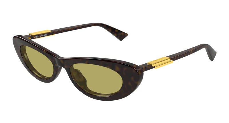 Bottega Veneta BV1447S 002 51