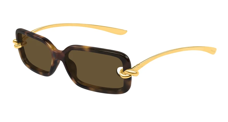 Bottega Veneta BV1439S 002 56