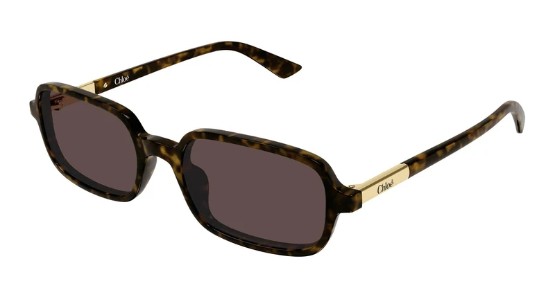 Chloé CH0363S 002 53