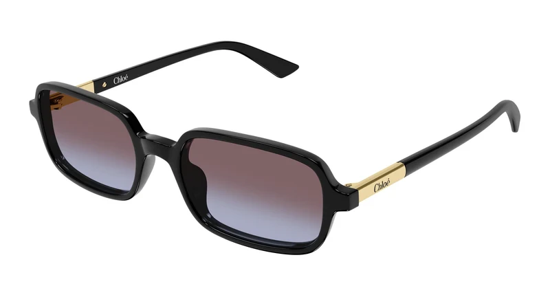 Chloé CH0363S 001 53