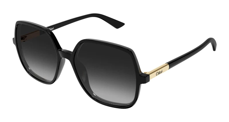 Chloé CH0362S 001 55