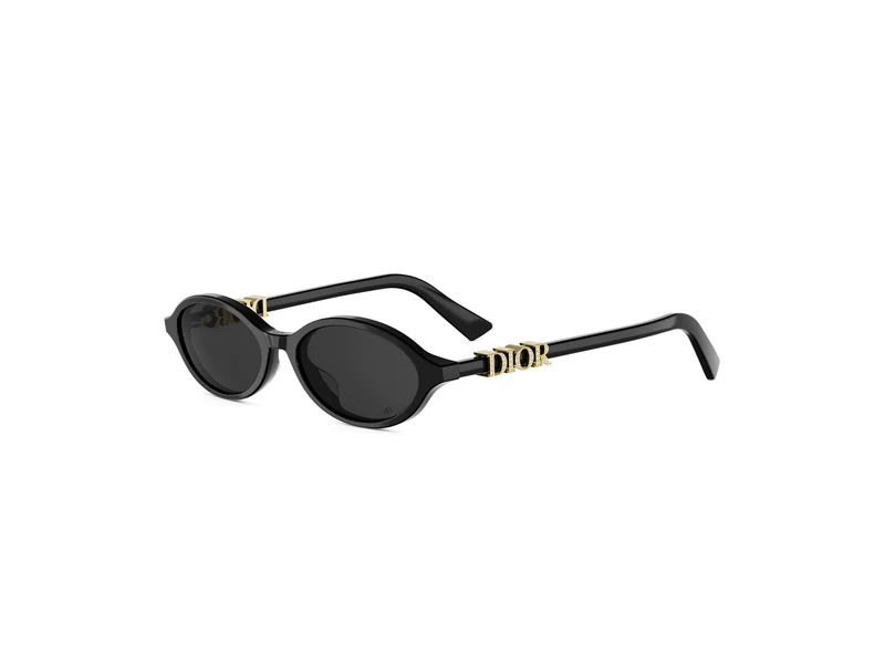 DIOR DIORTREASURE R1I 10A0 CD40231I 01A 51