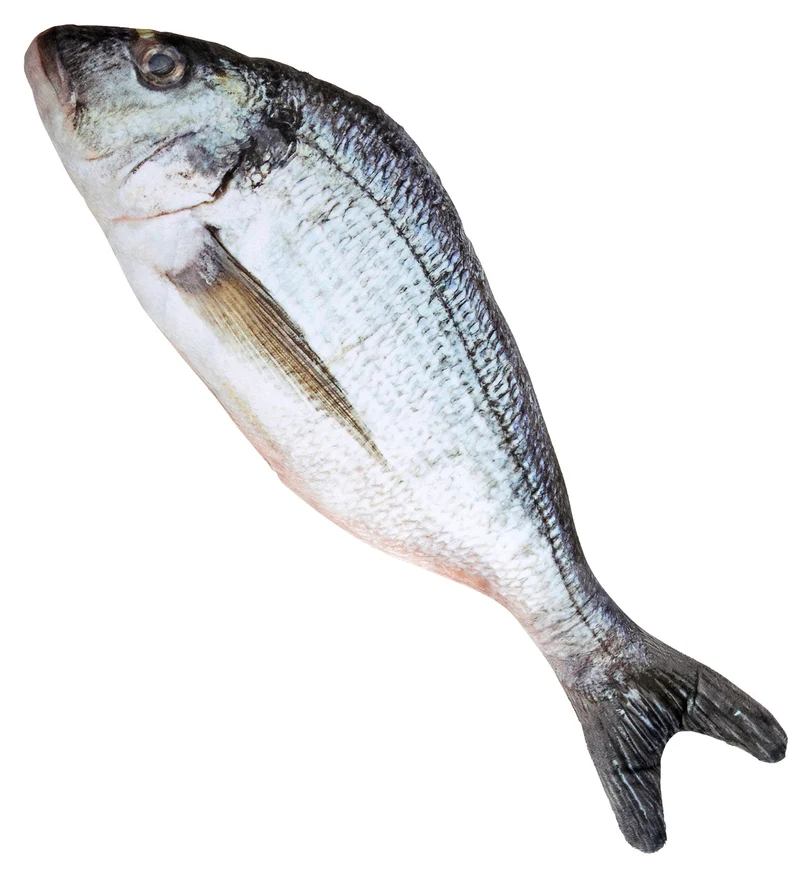 Levensechte vis 55cm