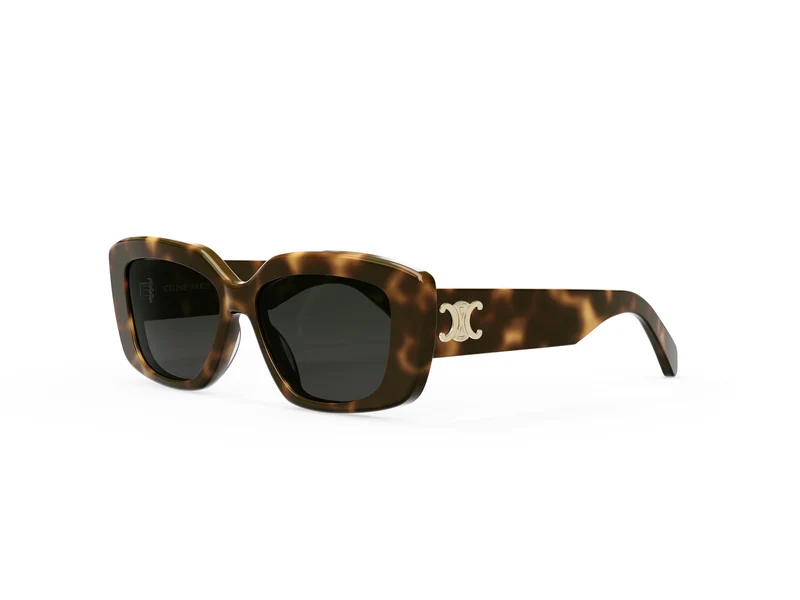 CELINE TRIOMPHE CL40216U 53A 55