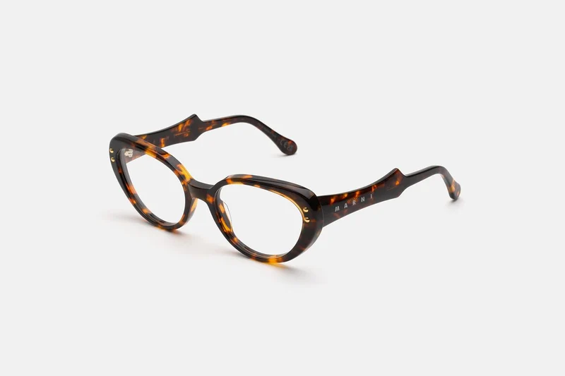 Marni Phazar Tortoise WGR