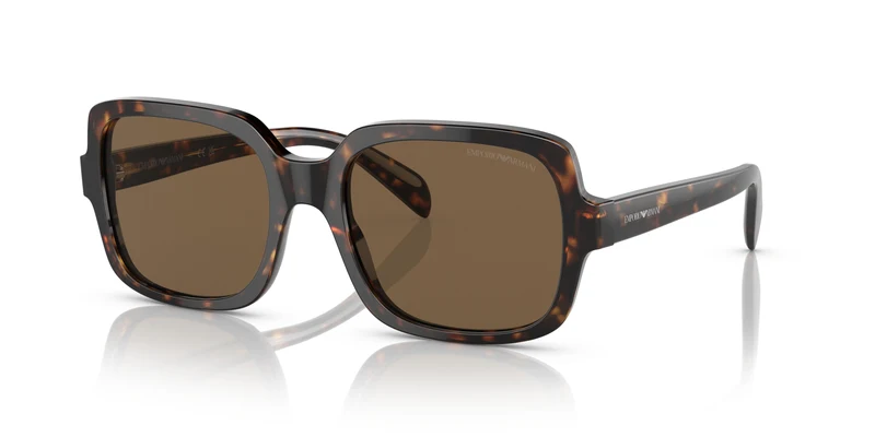 Emporio Armani EA4195 502673 55