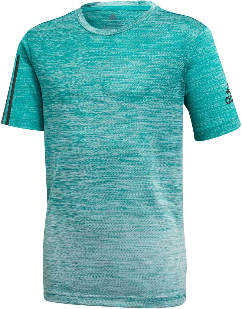 Yb Tr Grad Tee